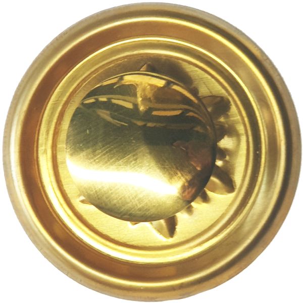 Beschläge historische, Knopfgriffe, in Messing roh, Rosette mit Knopf und Schraube Bild 2
