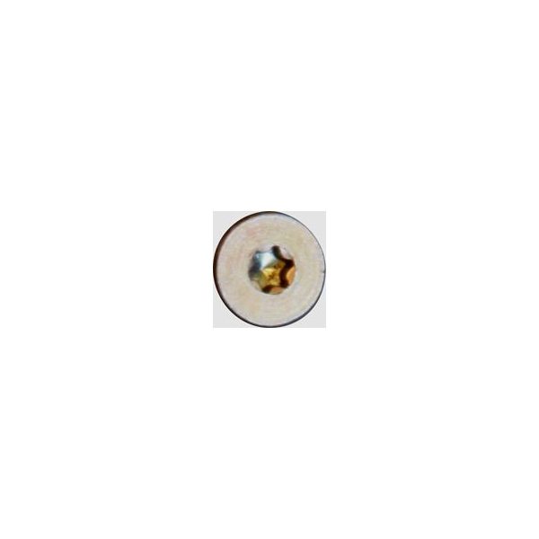 Torx Flachsenkkopfschrauben 4,5x60mm, gelb chromatiert 200 Stück Bild 2