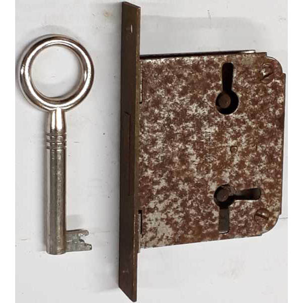 CG94 Hundehalsband 35 Cm – Vernickeltes Eisen, Verstellbar Mit Leiter, Inklusive Erkennungsmarke