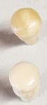 Beinknopf weiß, Ø 10mm, antiker Möbelknopf aus Tierknochen